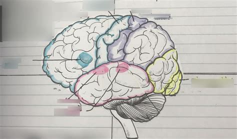 Psychology 的图像结果