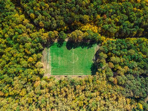 Sportsfield within Forest 的图像结果