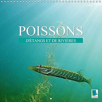 Buy Poissons : d'étangs et de rivières 2015: Prises de vues sous ...