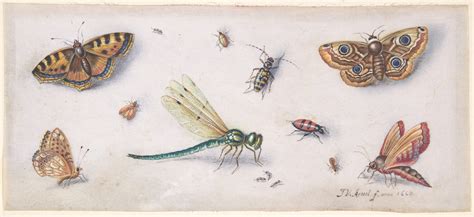 Insect Painting