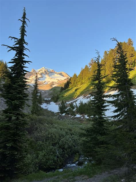 Paradise Park Trail #778 - Mt Hood Cannabis Co