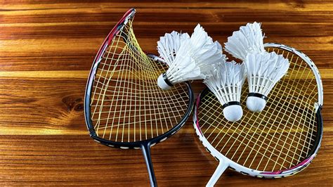 Badminton Racket and Shuttle 的图像结果