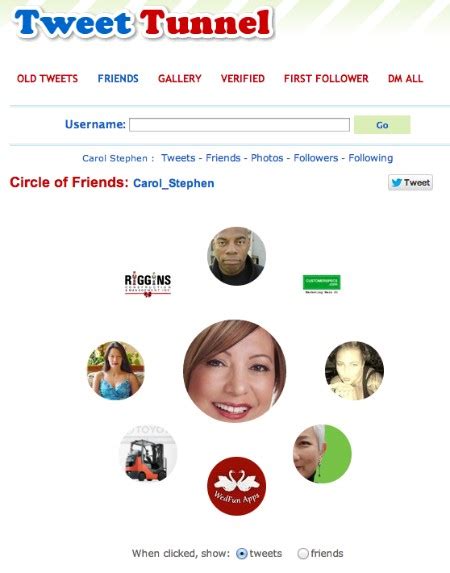 Twitter Profile Viewer 的图像结果