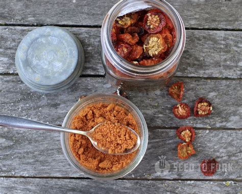 Tomato Powder: How to Make Your Own Tomato Paste from Garden Tomatoes - Seed to Fork
