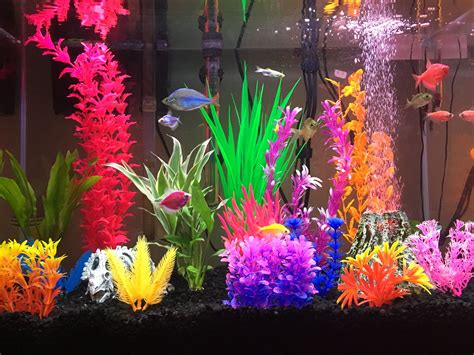 Colorful Glofish Tank with Vibrant Plant Decor