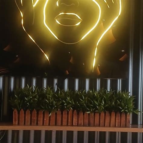 THE COUNTY INN (Jaipur, Rajasthan) - Hotel Reviews, Photos, Rate ...