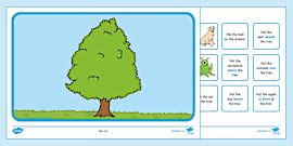 Grade R What`s the Position? PowerPoint (teacher made)