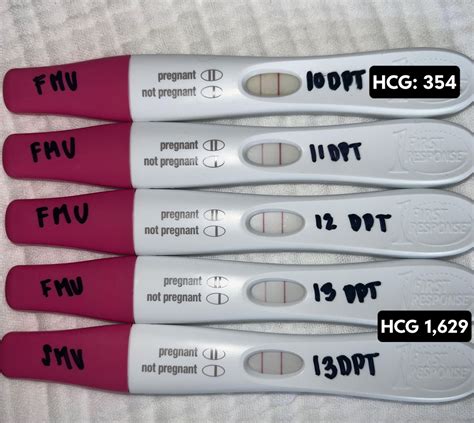 Not sure who needs to hear this: put your FRER tests down. Poor line ...