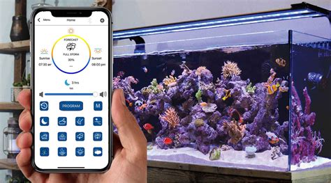 Image result for Loop App Computer