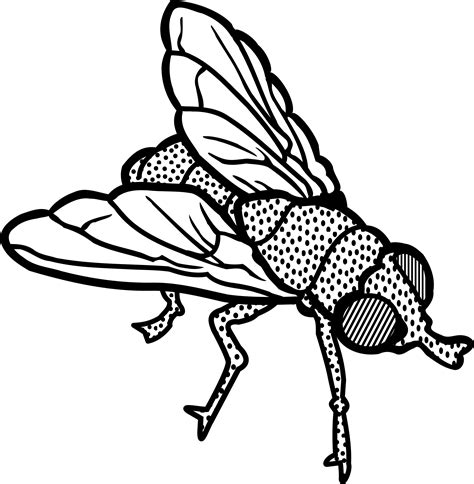 Fly Clipart Transparent - Fly Clip Art Black And White - Png Download ...