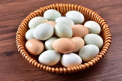 煮熟的鸡蛋怎么做好吃，如果你还不知道的话，赶紧看看这个！__财经头条