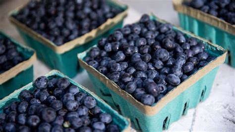 Blueberry recall: NC blueberries labeled with highest-level FDA recall