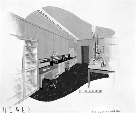 Image result for How to Draw a Lab