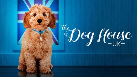 Watch The Dog House · Season 4 Full Episodes Online - Plex