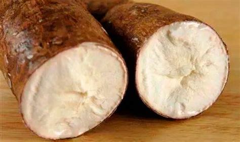 Image result for Tapioca Fiber