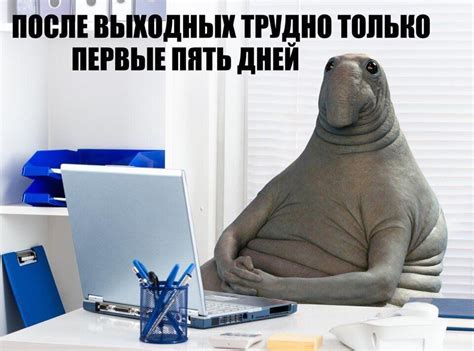 Создать мем "интернет-мем ждун, жду ждун, ждун" - Картинки - Meme ...