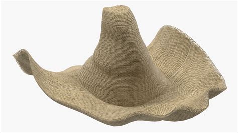 Wide Brim Straw Hat 3D model | 3D Molier International