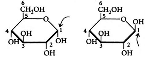 What is the relationship between the given structures (look at the ...