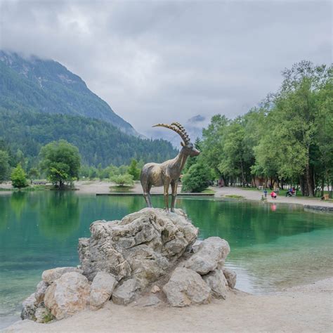 KOZOROG - All You Need to Know BEFORE You Go 2026 (with Photos ...