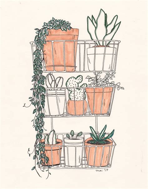 plant drawing aesthetic