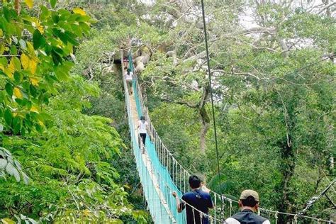 GO PERU JUNGLE (2026) All You Need to Know BEFORE You Go (with Photos ...
