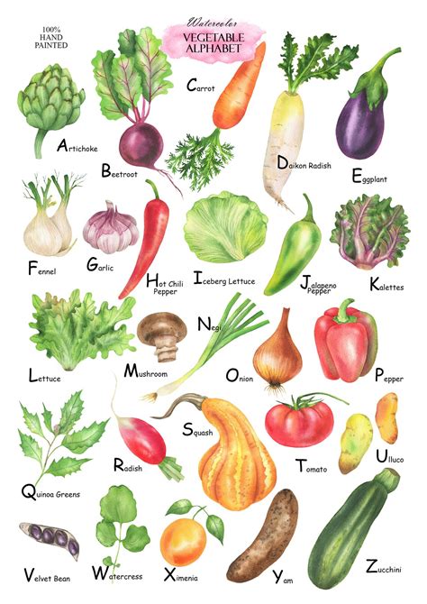 Watercolor Vegetable Alphabet Clipart, Vegetables ABC, Alphabet Poster ...