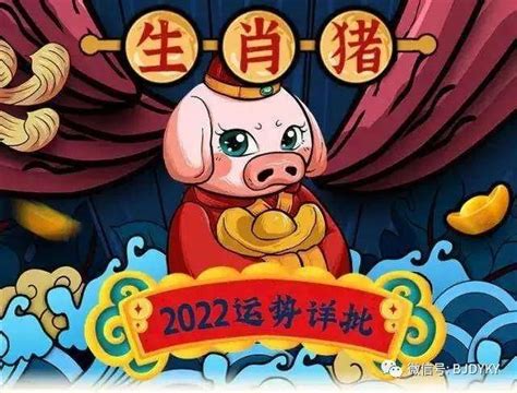 董易姗：2022年生肖猪运势详解，大易开运周易专家团出品_朋友_事业_方面