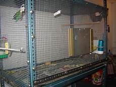 gabbie per canarini fai da te costruzione gabbia da gabbie per canarini fai da te costruzione gabbia da