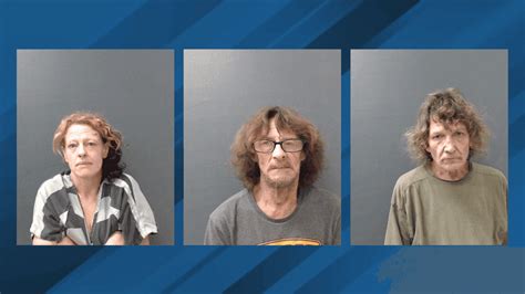 Four arrested after major drug bust in Canyon Lake