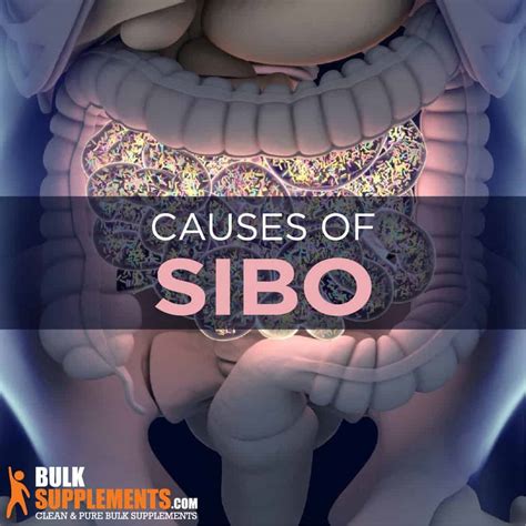 What is SIBO: Causes, Symptoms, Diet & Treatment