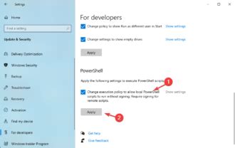 How to Enable Running Script 的图像结果