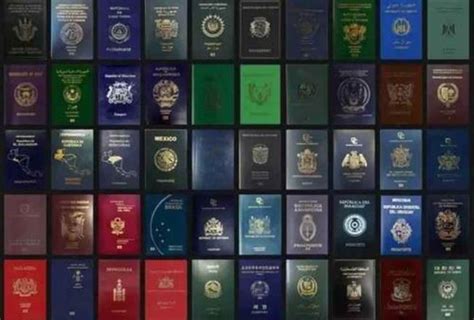 护照有几种类型