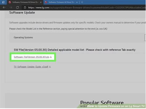 LG Monitor Firmware Update 的图像结果