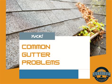 Image result for Gutter Topper Problems