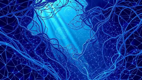 Deep Learning Models Development Process 的图像结果