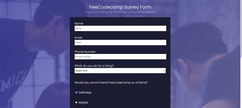 Image result for Freecodecamp Survey Form Example