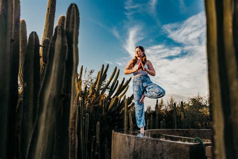 Things To Do in Phoenix, AZ - Travel Zone by Best Western