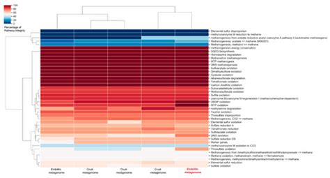 Metagenomics of Atacama Lithobiontic Extremophile Life Unveils ...