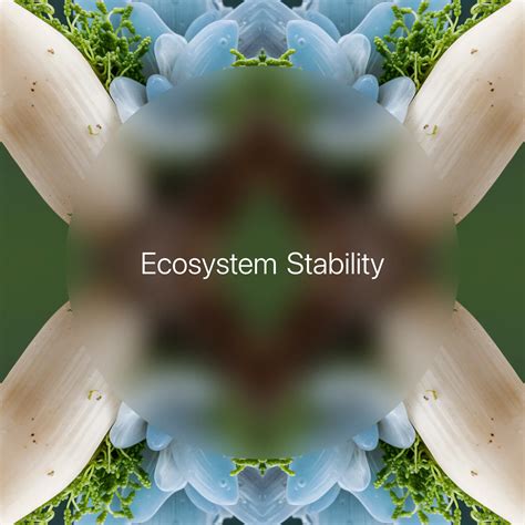 Ecosystem Stability → Term