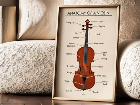 Violin Anatomy Poster, Violin Diagram Printable, Violin Parts Names, Music Teacher Resource ...