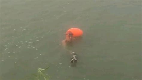 安徽一男子多次将狗闷在河水中挣扎，毫无人性 - 哔哩哔哩