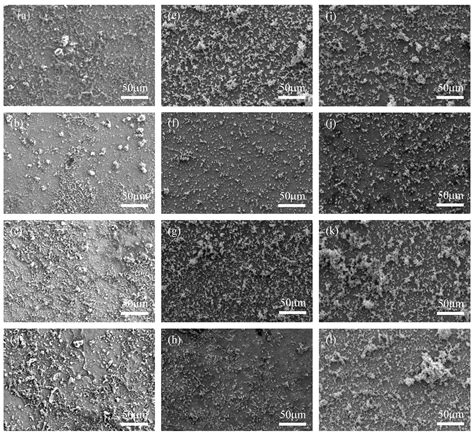 Effect of Pseudomonas aeruginosa on Corrosion Behavior of X65 Carbon Steel