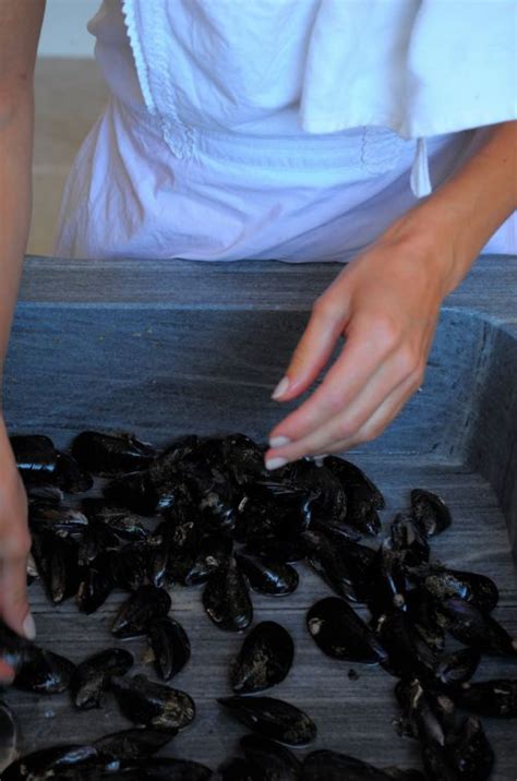 Washing Mussels 的图像结果