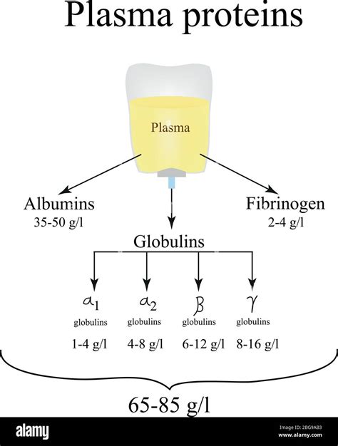 Blood Plasma Proteins