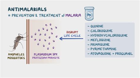 Malaria Treatment And Prevention