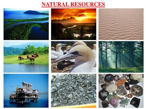 Management of Natural Resources 的图像结果