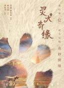 Image result for Scanner iComputer