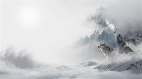 霸气狼的图片头像_好看的霸气孤独狼图片 - 个性8899头像网