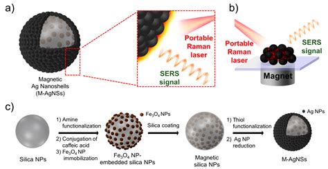 Highly Sensitive Magnetic-SERS Dual-Function Silica Nanoprobes for ...