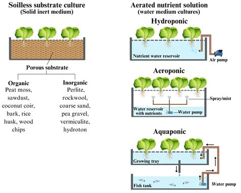 Integrated Nutrient Management of Fruits, Vegetables, and Crops through ...